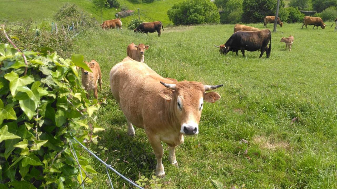 Casa Rural Aristondo Agroturismo San Sebastián Zewnętrze zdjęcie